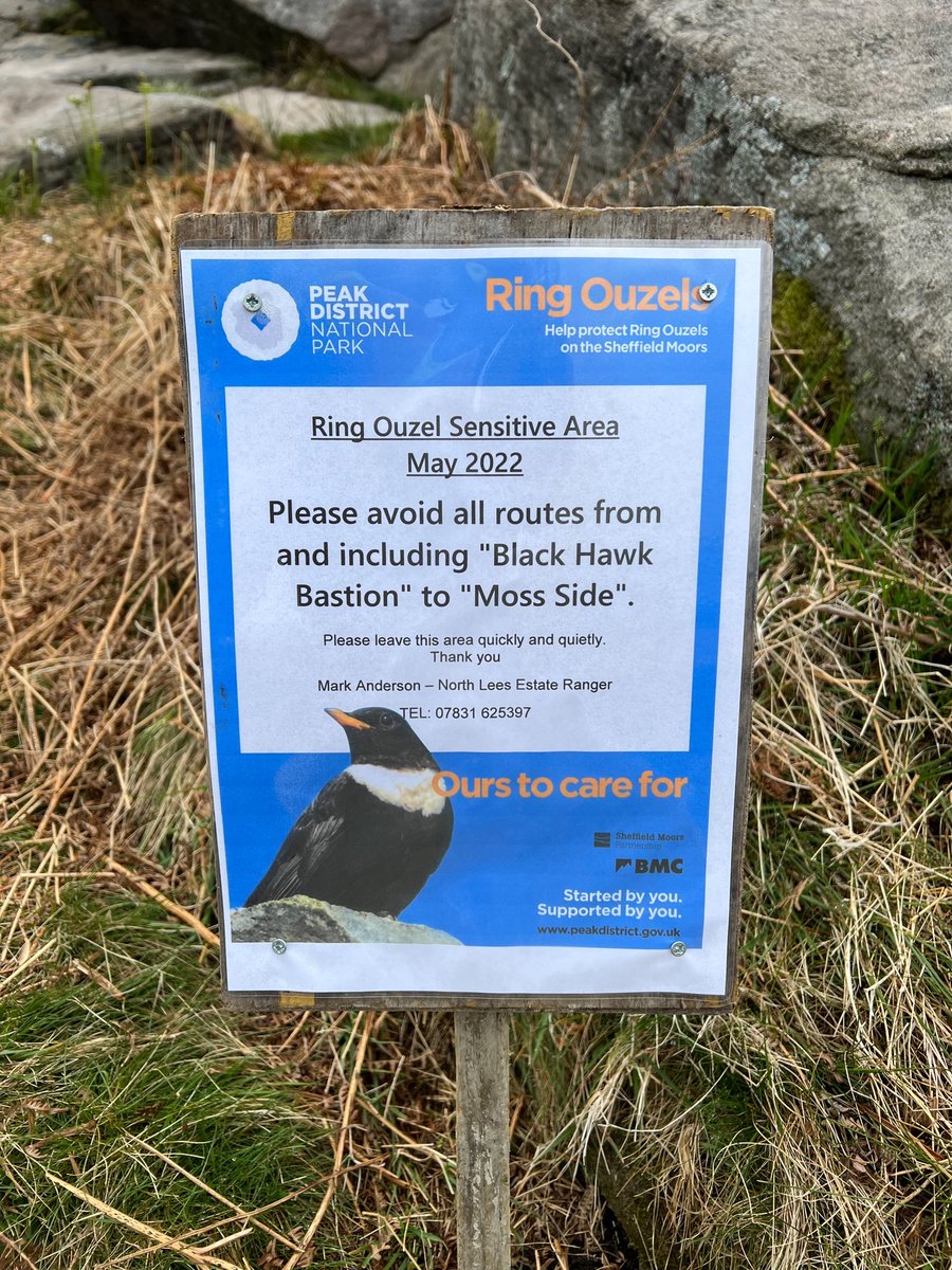 Please give the Ring Ouzels at Stanage Popular end the space they need to thrive.  The area to avoid is clearly signposted.  <a href="/pdnp_foundation/">Peak District National Park Foundation</a> <a href="/peakdistrict/">Peak District National Park</a> @mpddindustry <a href="/vpdd/">Visit Peak District & Derbyshire</a> <a href="/theoutdoorcity/">The Outdoor City</a> @SheffBusiness <a href="/EasternMoors/">Eastern Moors</a> <a href="/the_AMI/">The AMI</a>