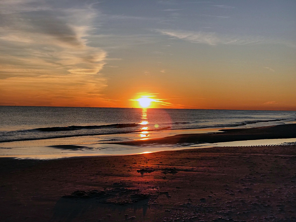 Southern Vacation Rentals tweet media