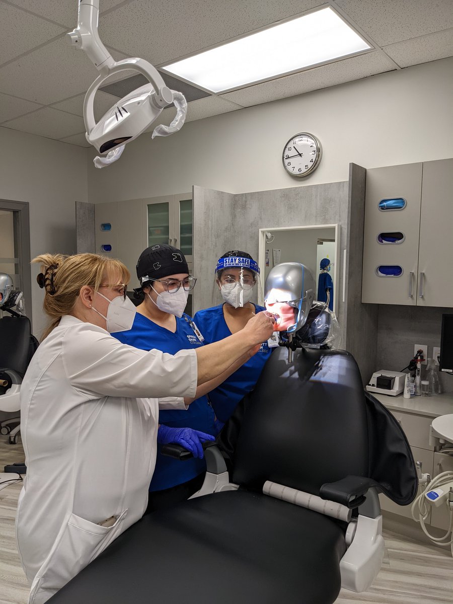 sprottshaw's tweet image. Fresh from our Dental Lab: #DentalAssistant students learning how to place and position intraoral dental film! 😁🦷
 
Learn more about our Dental Assistant Program right here: sprottshaw.com/nursing-health… 

#DentalProgram #SprottShaw #DentalLab #Dentistry