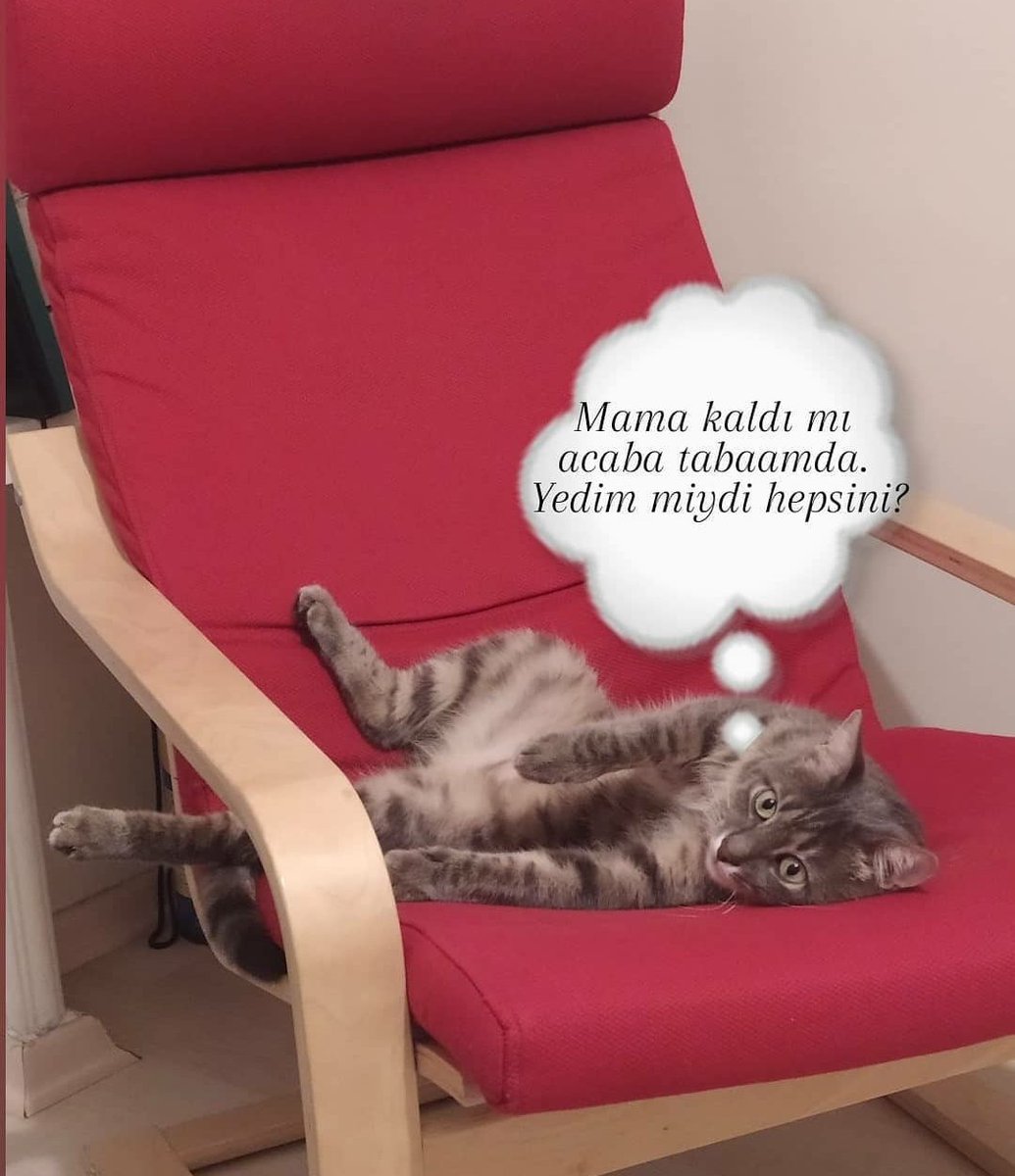 Gece gece düşündürten sorular
