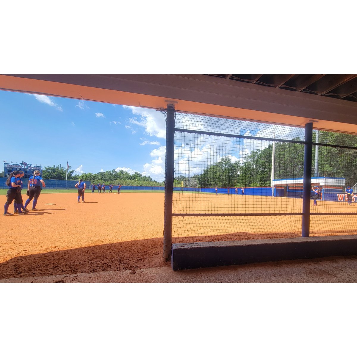 West Orange Softball tweet media