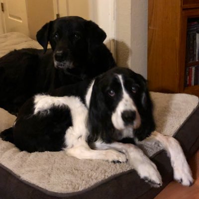 DylanTGrubb's tweet photo. #NewProfilePic https://t.co/RL2vlmo22Z