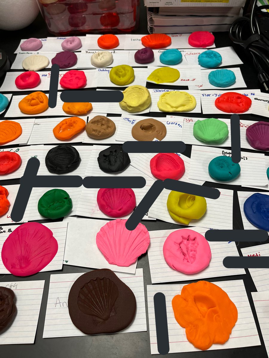 hollyastuart's tweet image. Part 1 of Fossil Exploration

Ss made models of preserved, mold, and petrified fossils.

#TeachBetter #ScienceBetter #StuartScience #tlap #scitlap