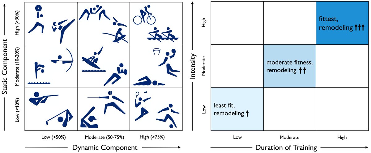Ever wondered what happens to your heart when you exercise? Does exercise affect men and women differently? With the <a href="/WuTsaiAlliance/">Wu Tsai Human Performance Alliance</a>, @ln2cool <a href="/MPeirlinck/">Mathias Peirlinck</a> and I started to unravel these questions in our recently published review paper <a href="/FrontPhysiol/">Frontiers - Physiology</a> 
frontiersin.org/articles/10.33… (1/5)