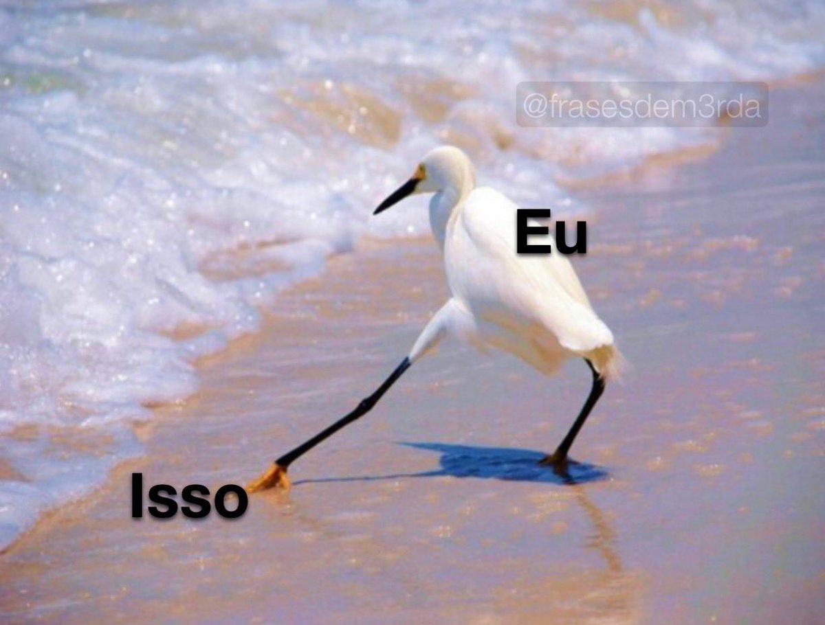 frasesdem3rda's tweet photo. Quando me dizem “não faças isso” https://t.co/NHYjyGQA66