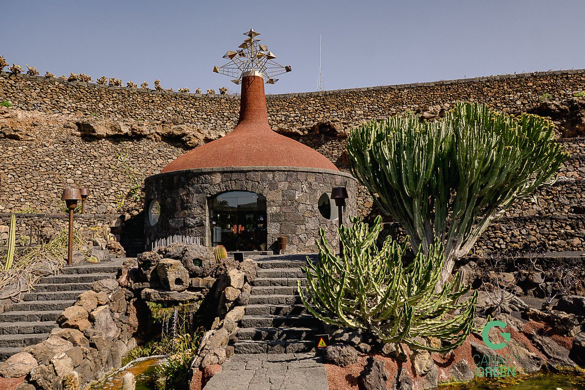 CanIslandsGreen's tweet photo. Do you like cactuses? 🌵
There’s a chance to see a lot of them while visiting the Cactus Garden in Lanzarote!
You will be surprised about how many different cactuses there could be💚😍👀🙏🏼

📸: @hvmansocial https://t.co/GgY55SQIxM