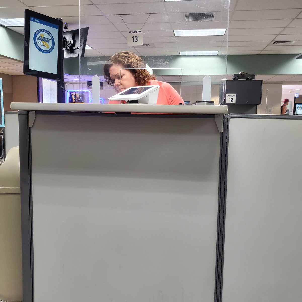 10ashusScamper tweet media