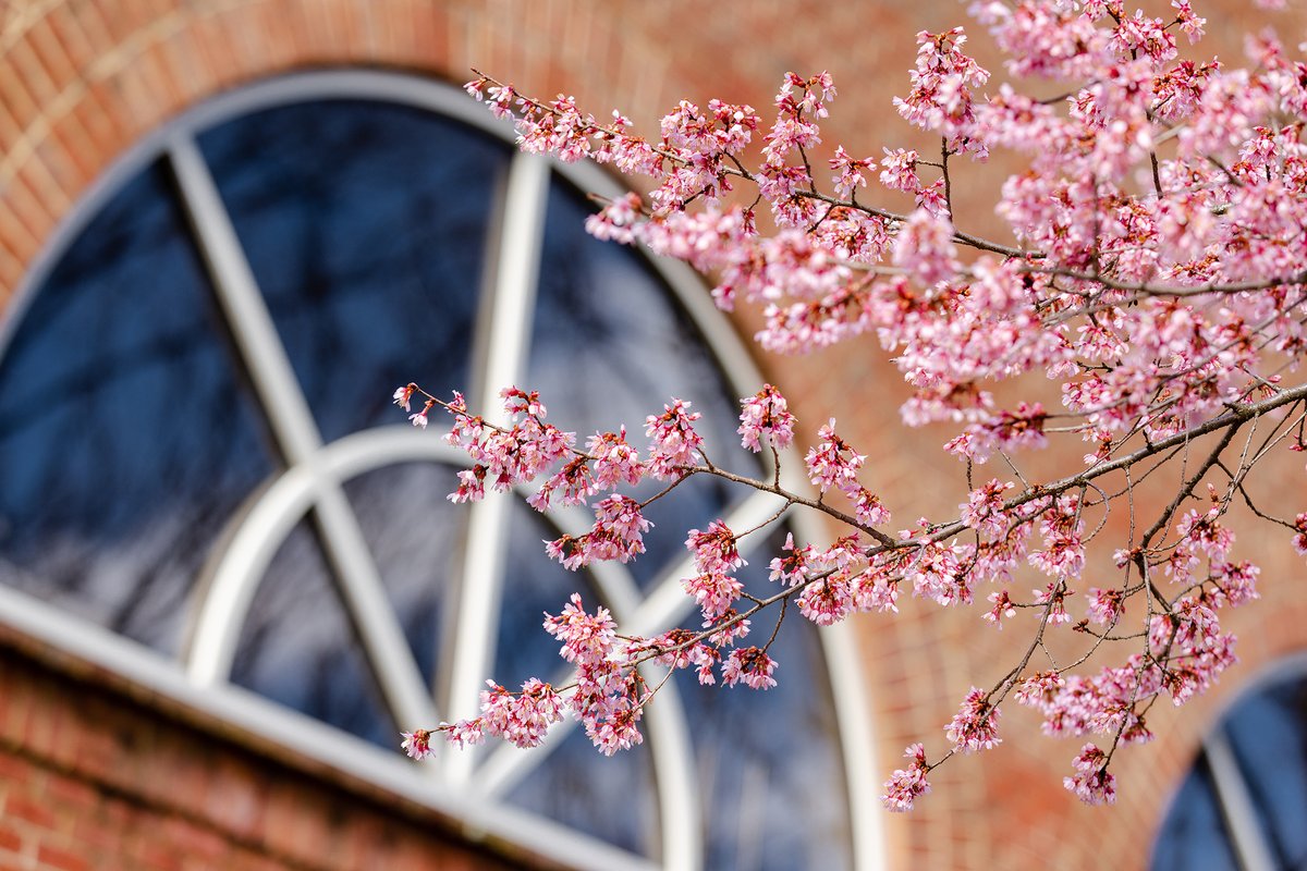 Wagner College Wagnercollege Twitter