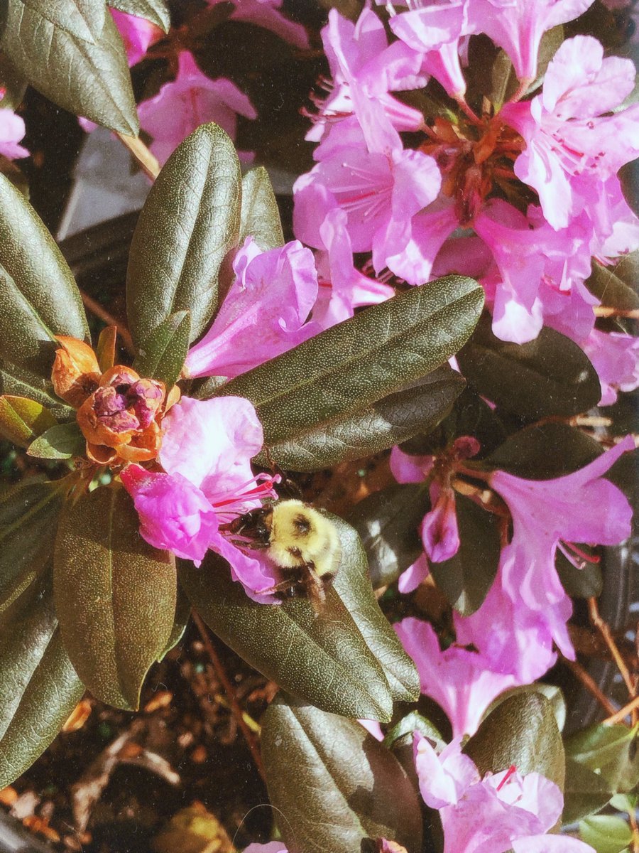 𝐕𝐗𝐍 (🔥,🔥) tweet media