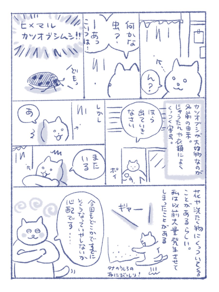再会・ヒメマルカツオブシムシ
#さくまのまんが 