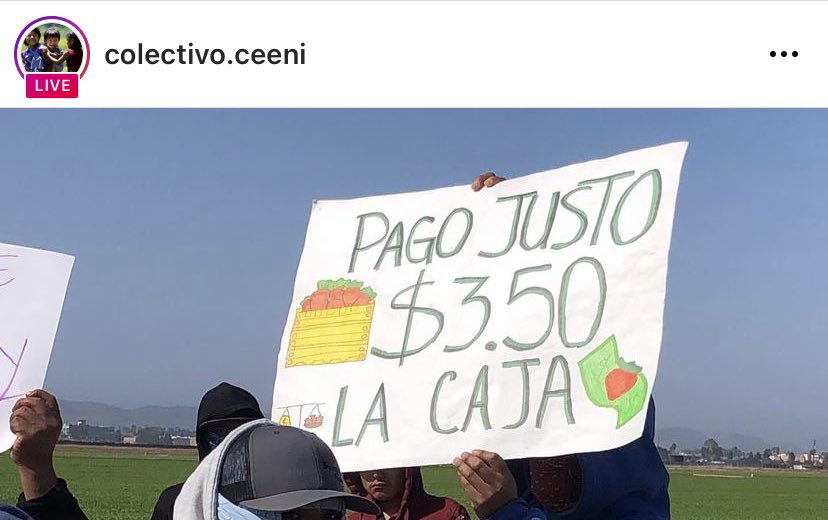 cempazuchit1's tweet photo. Farmworkers at J&amp;G Berry Farms in Santa Maria have been striking for two days. These are Indigenous people who are being exploited. Here is a thread of things you can do to help. https://t.co/8f7LSoyTGc