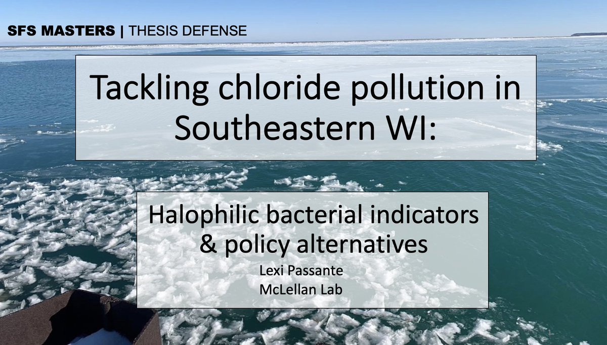 sandralmclellan's tweet photo. Congrats Lexi @LexiLikesLakes on a successful defense @waterscienceUWM. Great pioneering work showing halophile populations are potential indicators for road salt pollution. Excellent outreach also with @WISaltWise https://t.co/ZRmlucZ8qU https://t.co/5E7s42Szwv