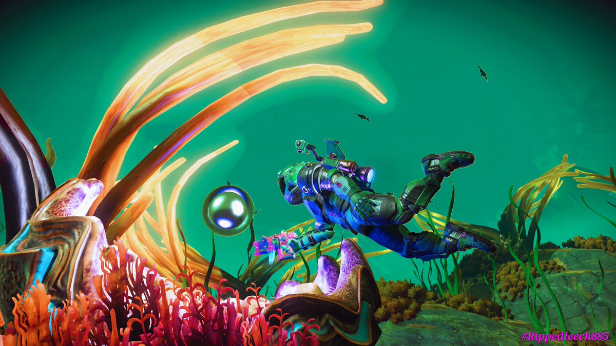 Rippedleech885's tweet photo. No Man's Sky - Harvesting Pearl's
@NMSCord @NoMansShare @NoMansSkyPix @NoMansSkyGame https://t.co/WYO53a58I7