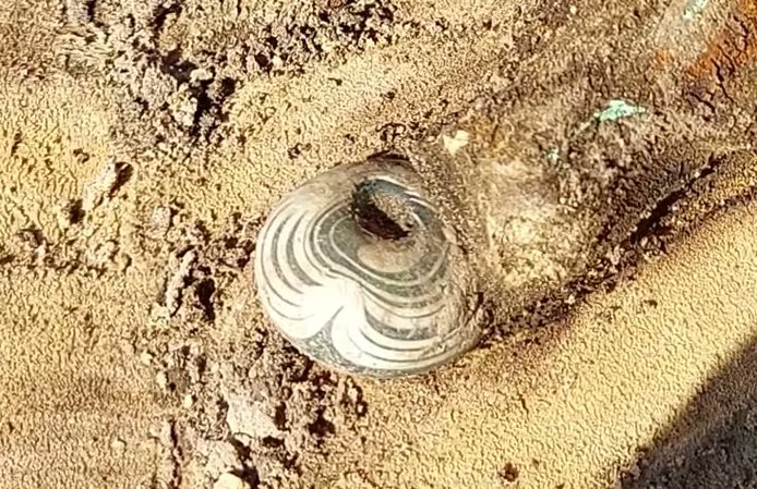 DeArcheoloog's tweet photo. Bij #Hilvarenbeek hebben #archeologen een vroeg-#middeleeuws #Merovingisch #grafveld met zeker 135 graven blootgelegd. Ze vonden gouden muntjes, glazen kralen en resten van dolken, bijlen en #zwaarden. Topvondst tot nu toe is een glazen #buidelbeker.
https://t.co/qeBp7cx731 https://t.co/nycdgaqAmi
