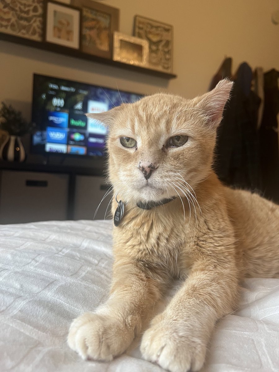 joey demands safe and legal abortion for ALL. if you don’t you can see yourself out immediately. basic human rights are not up for debate here.