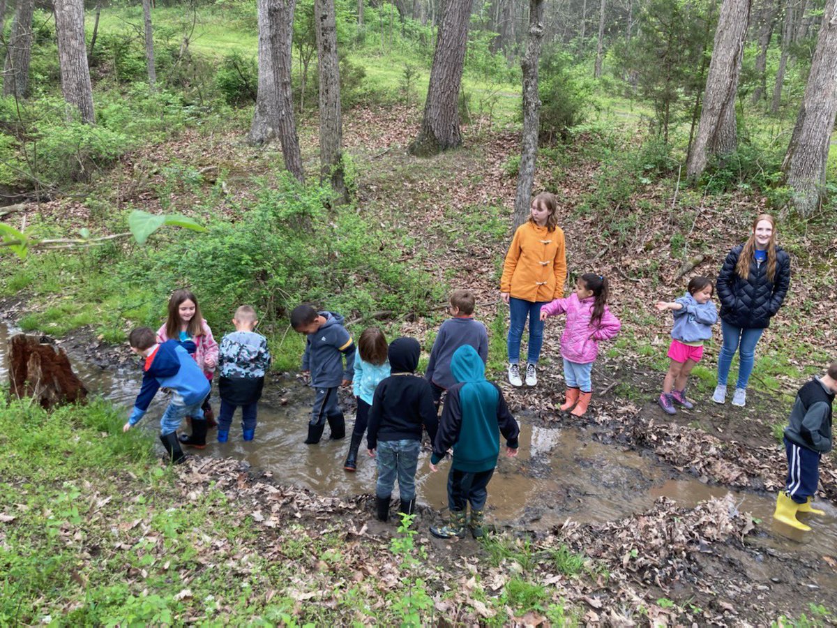 These kinders explored the stream at our beautiful cross country course and determined if it was healthy/not healthy. We also searched for animal habitats and brainstormed ways to help keep our streams healthy and animals safe. #outdoorlearning #bssdproud