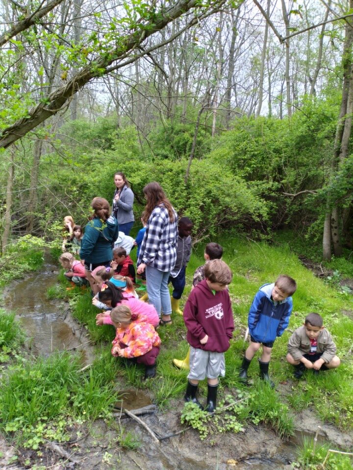 lrgraham23's tweet photo. These kinders explored the stream at our beautiful cross country course and determined if it was healthy/not healthy. We also searched for animal habitats and brainstormed ways to help keep our streams healthy and animals safe. #outdoorlearning #bssdproud https://t.co/sSby0aZdfY