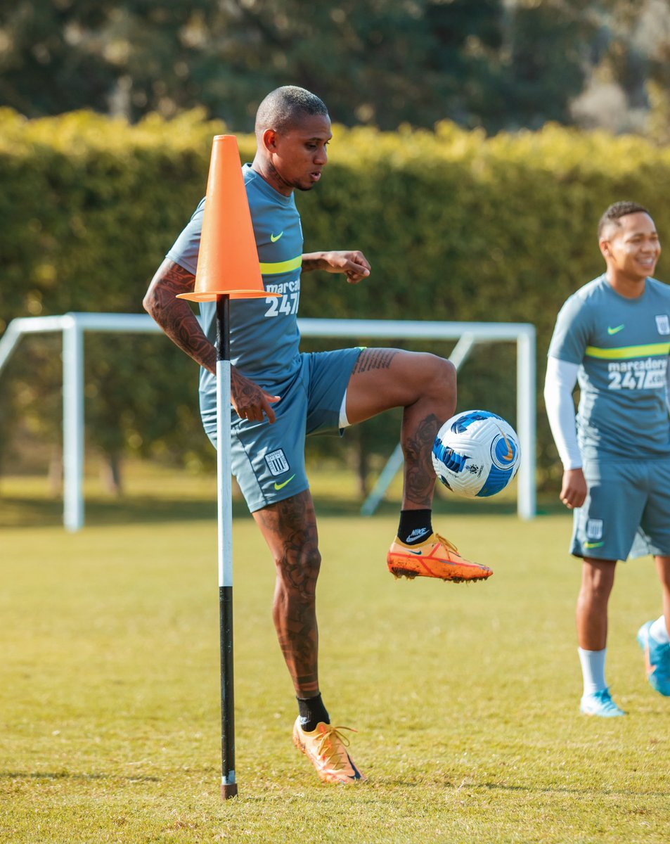 ClubALoficial's tweet photo. ¡𝗦𝗘𝗚𝗨𝗜𝗠𝗢𝗦 𝗣𝗥𝗘𝗣𝗔𝗥Á𝗡𝗗𝗢𝗡𝗢𝗦!👊🏾

¡Con todo!🙌🏾

#EstoEsAlianza
#AlianzaCampeón https://t.co/h9OupeQOuu