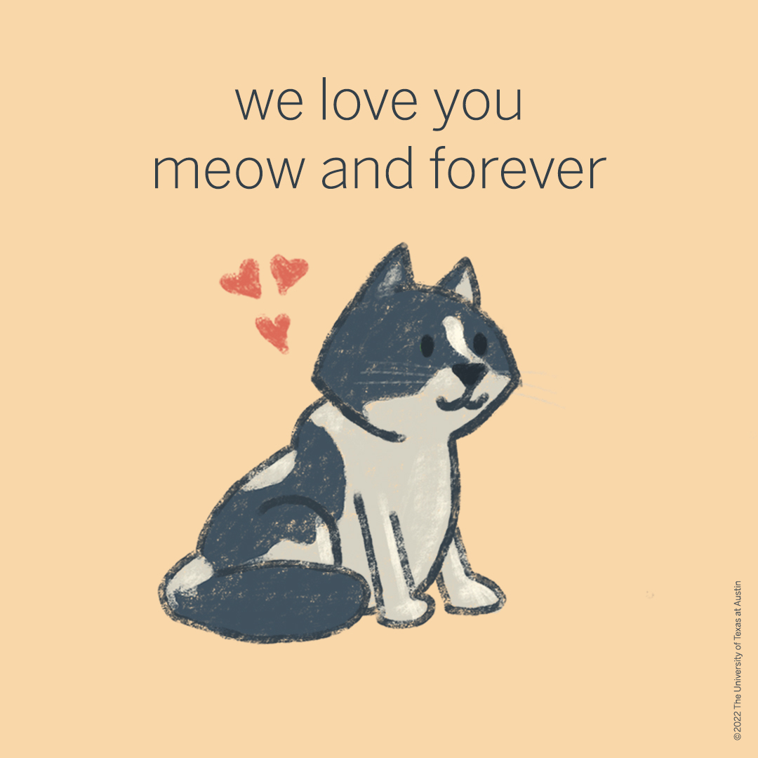 Domino, the most well known and beloved of UT Austin’s campus cats, was a welcoming friend on our campus for many years. We will remember him fondly, and thank the community who cares for these cats for all the love given to him these past months