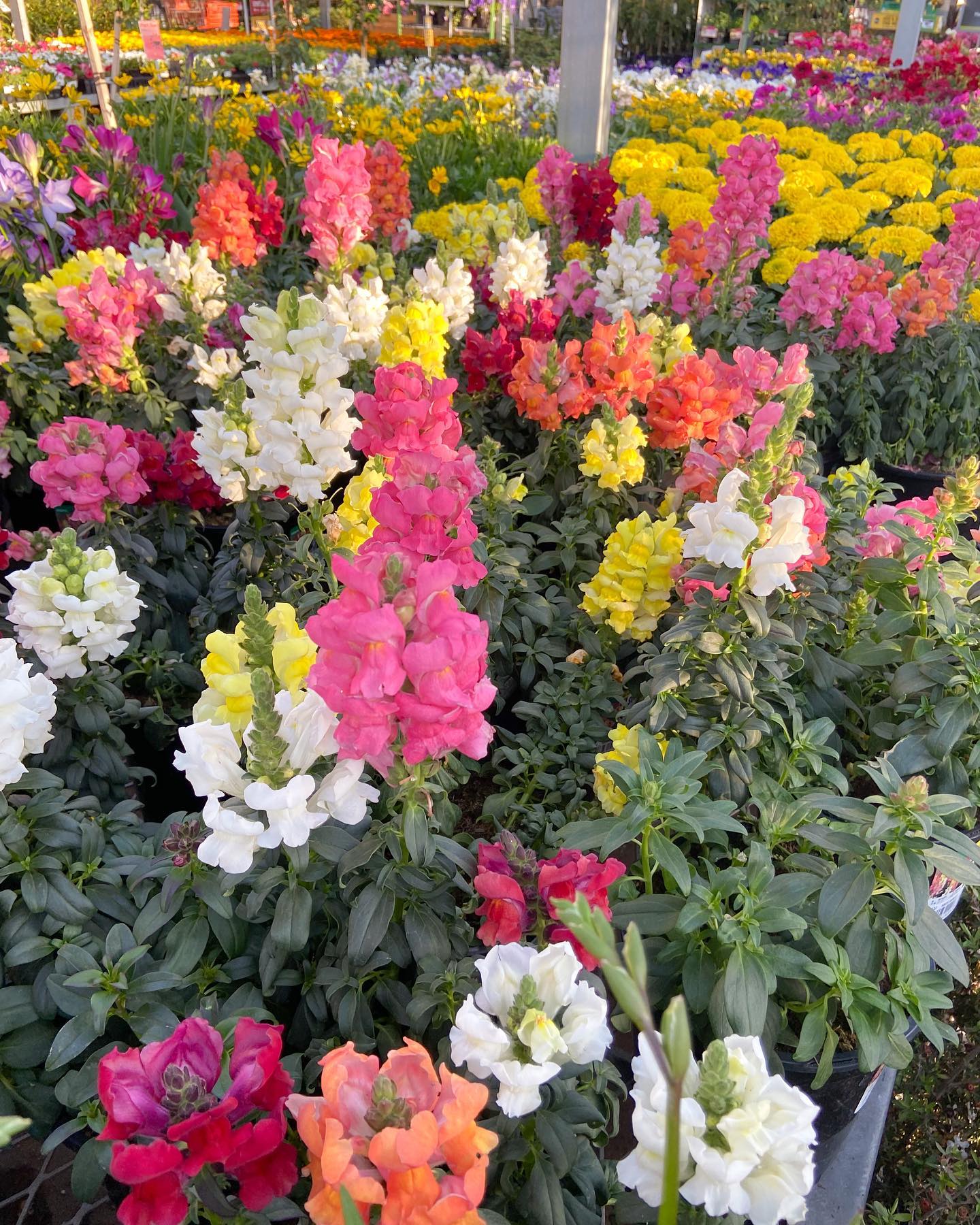 The Home Depot on Twitter "Mom’s summer goals. Get her garden started