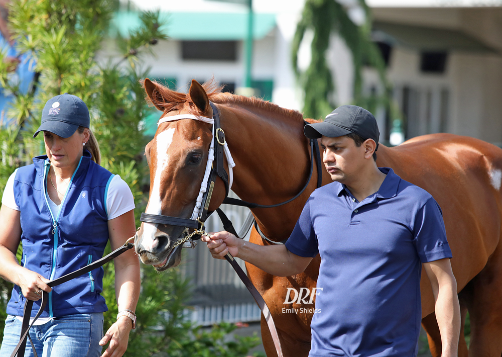 Daily Racing Form on Twitter "Kentucky Derby Cyberknife gives owner