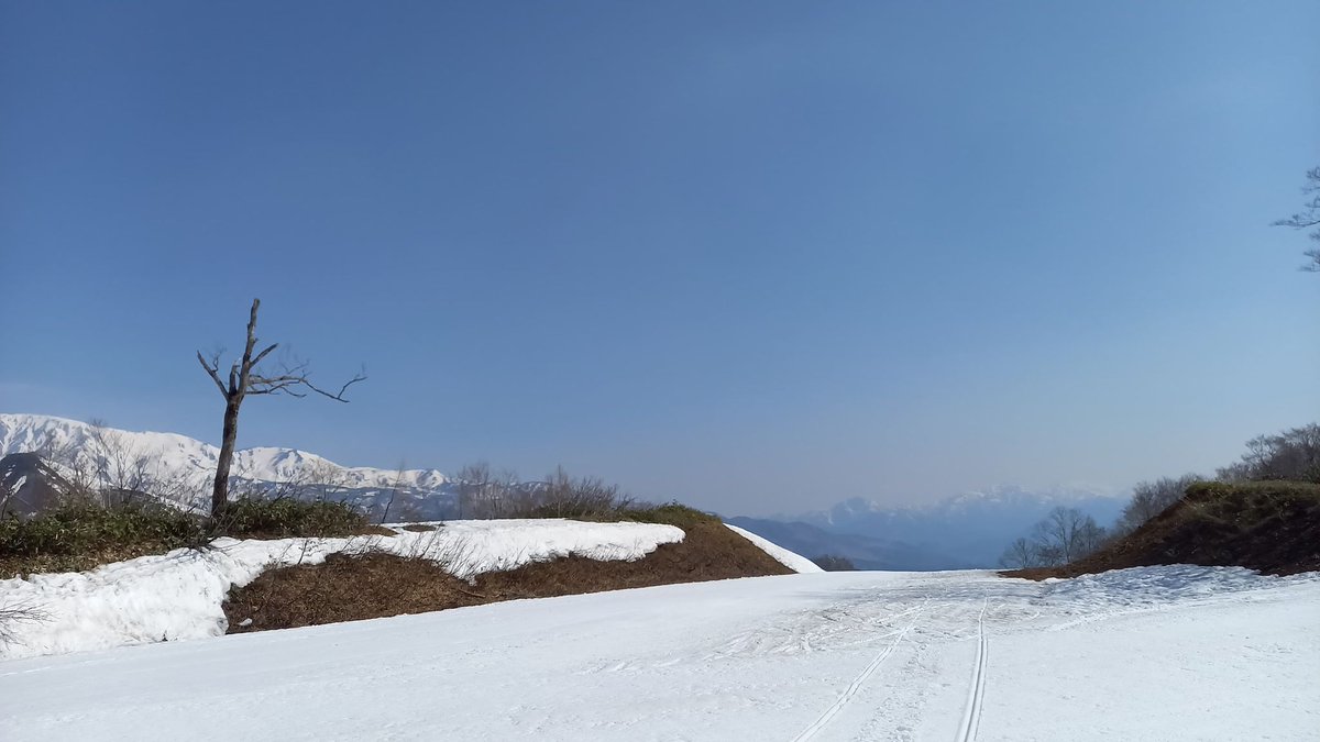 Hakuba_47's tweet photo. LineEスタッフ朝一リポート!
スキー場上部は晴れでやや風があります。朝からシャバシャバ~
朝一狙いましょう~!!
#hakuba47 #hakuba #hakubavalley #白馬47 #白馬 #スキー #スノーボード #skiing #snowboarding #LineE #春スキー #春スノーボード #ザラメ #cornsnow #朝からザブザブ #朝一 #GW https://t.co/JN56VUkhHp