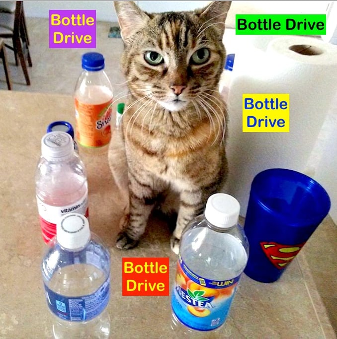 LethLostPets's tweet photo. BOTTLE DRIVE FUNDRAISER 😺 This Sat, May7😺 Message LastChanceCatRanch: https://t.co/zXIleoPOY4 with 'BOTTLES' as your 1st word.
Pls include address,phone #, etc...&amp; pls bag your Bottles😽 &amp; have them out by 9AM on Sat,May7 for pick up😺  #YQL https://t.co/eI8aAl2cMz