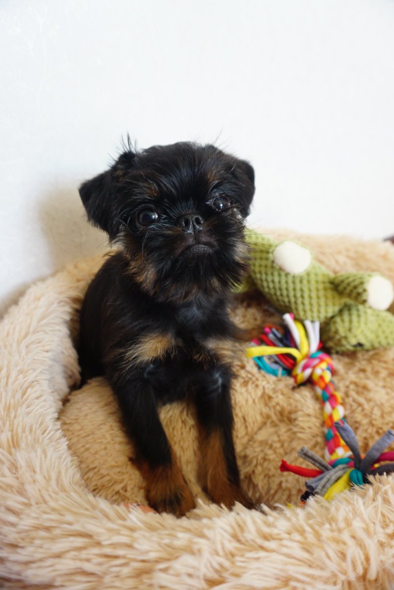 _litado's tweet image. Доброе утро от любителя лизать ноги