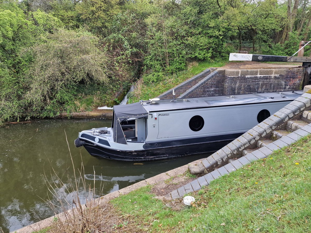 Charlie Ringe tweet media