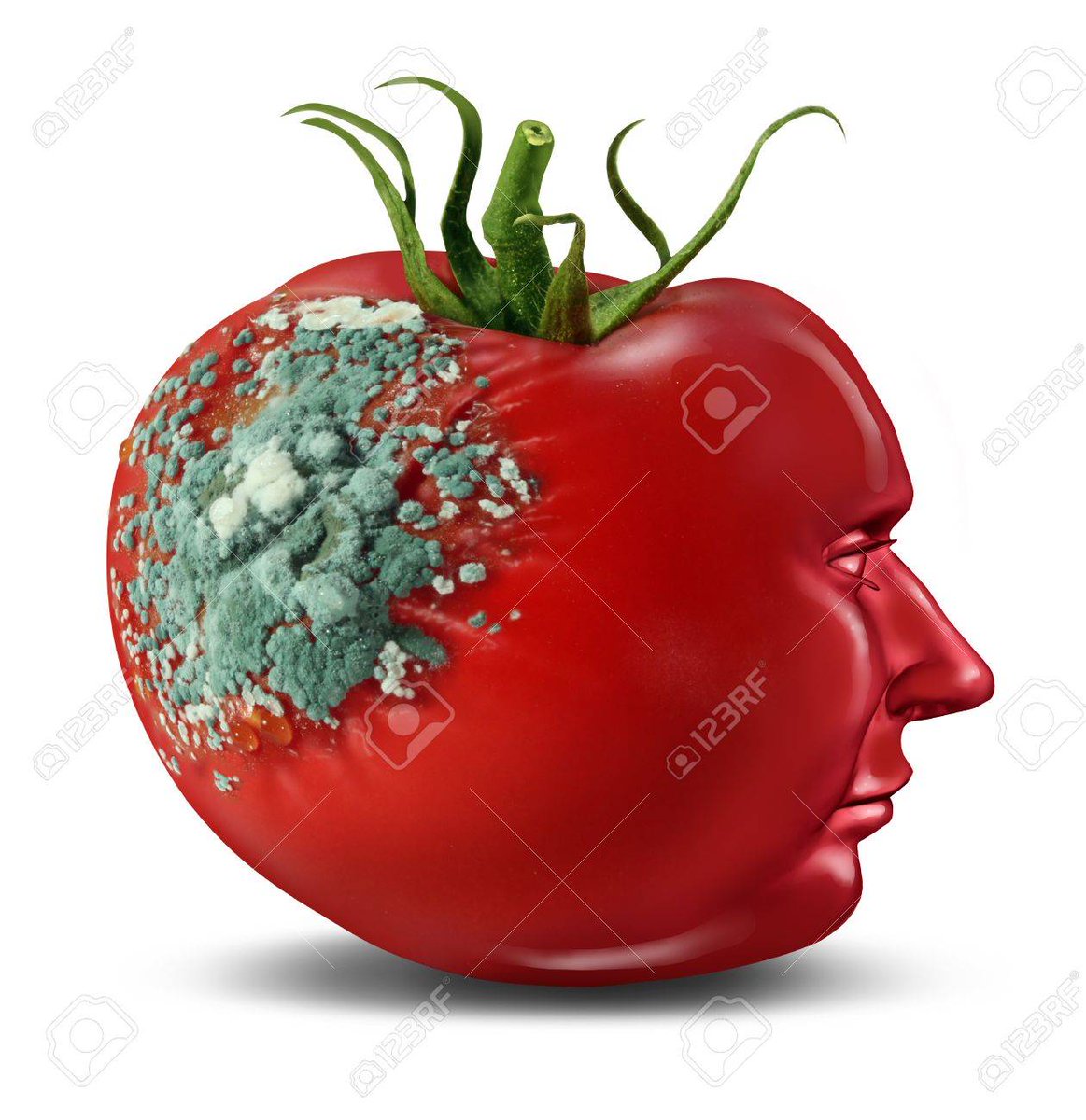 znithik's tweet photo. LA #SENILITE #NEURONALE EST #DEVASTATRICE
#FAKENEW GROSSIERE
#MACRON N'A QU'A #TRAVERSER LA #RUE .........
#VALS OU #MELENCHON ET DES DIZAINES SONT PRENEURS........
@pascale2025021 @PaulaFo77459866 @Sophie24303508 @radonjes @risoldelayaute @Natilo999 @HeRmYa_1 @OlivzV https://t.co/O4UMtELGwo