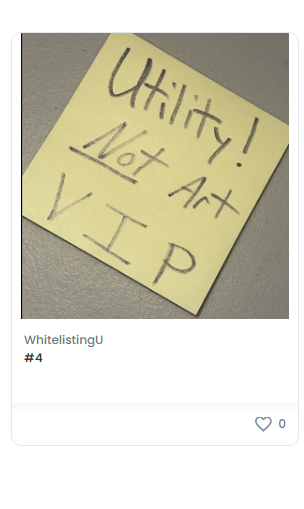Thank you to the several VIPs to join the team and I on this journey!