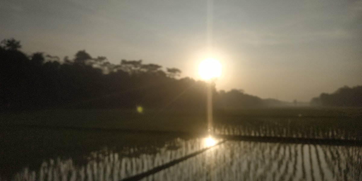 unuychubby's tweet photo. Pagi nya cerah
Ayukkk kita ke mana? https://t.co/A1ahfaMP7y