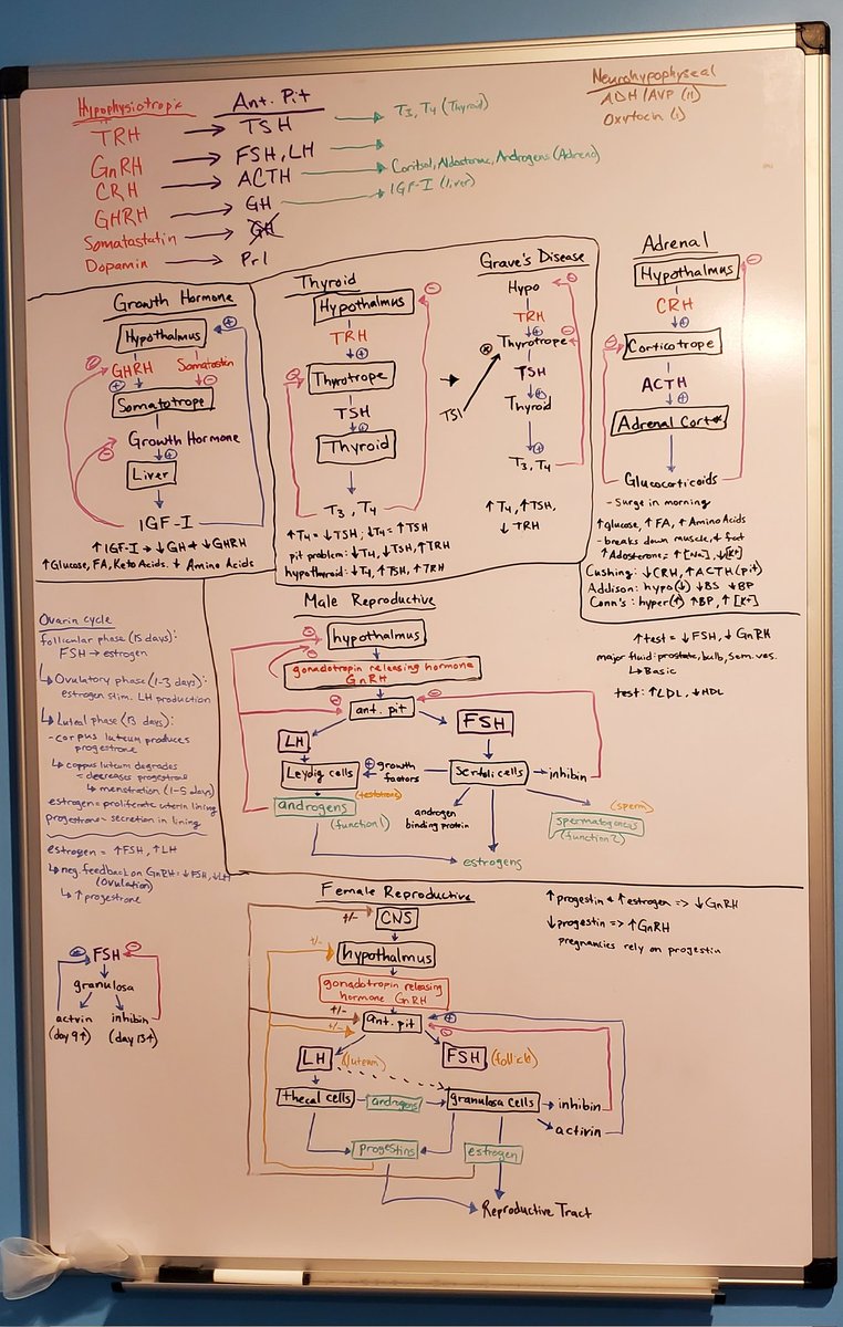 #FinalsWeek Last final tomorrow! Can't wait to graduate Saturday! 🎓What an adventure it has been!