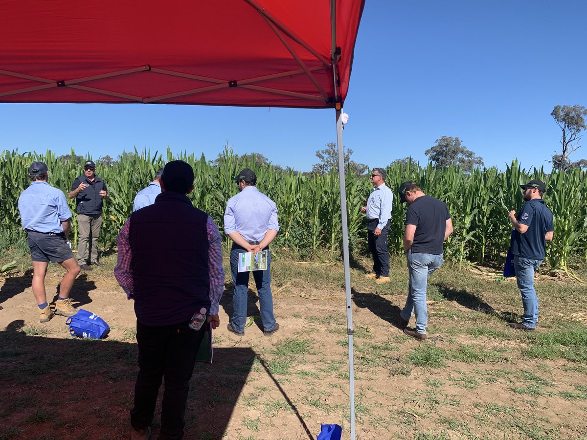 sonia_marqu's tweet photo. Thanks to @BASF_Agro_Au for the Junior Agronomy workshop! What a great couple of days looking at their Tamworth research farm #NRI #BASF https://t.co/eeScwkEzm0