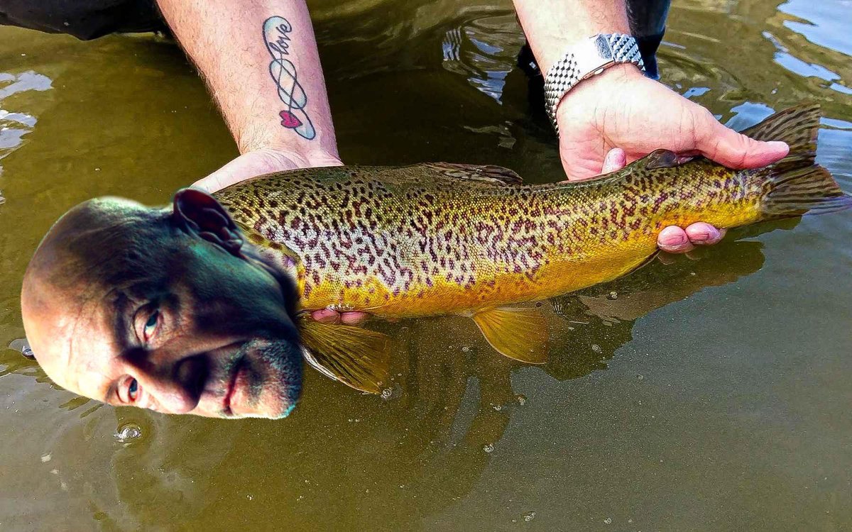 liestuh's tweet photo. check out this cool fish i caught https://t.co/wMpu1a9lff