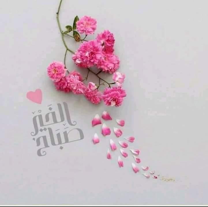 Rawnii8's tweet photo. @saleh_amraya https://t.co/MM2QTFx1Fh