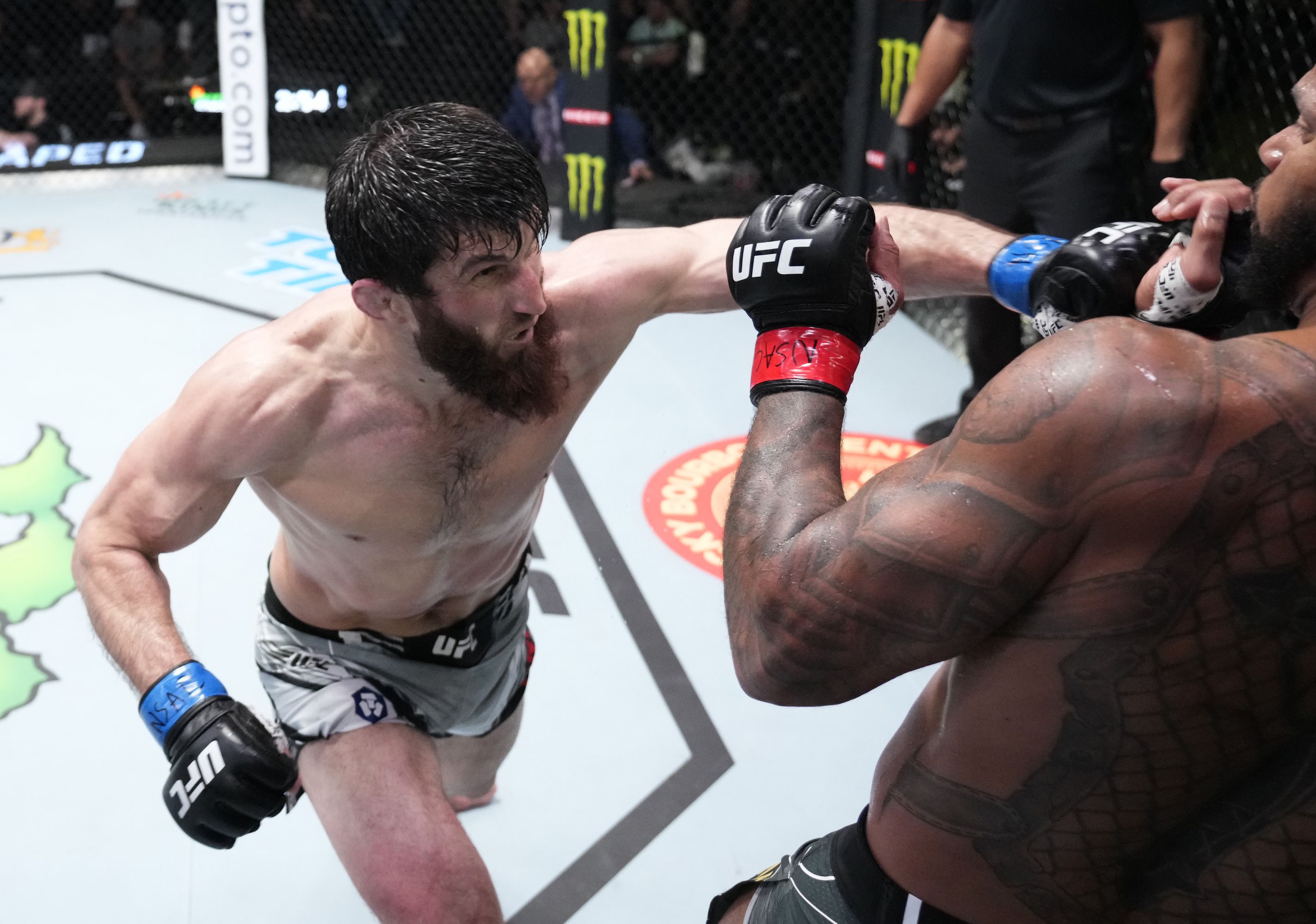 Магомед анкалаев поражены. Поражение анкалаева в юфс. Блахович анкалаев ufc. Джони вокер vs магомед анкалаев. Поражение анкалаева в юфс.