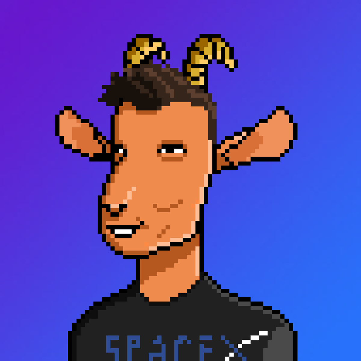 The one and only <a href="/elonmusk/">Elon Musk</a> 
will be featured in our collection as well as other famous   #GOAT𓃵  . Our project intend to build the first decentralized  art gallery to connect artists and buyers .  

#Web3 #NFT #ElonMusk #spaceX