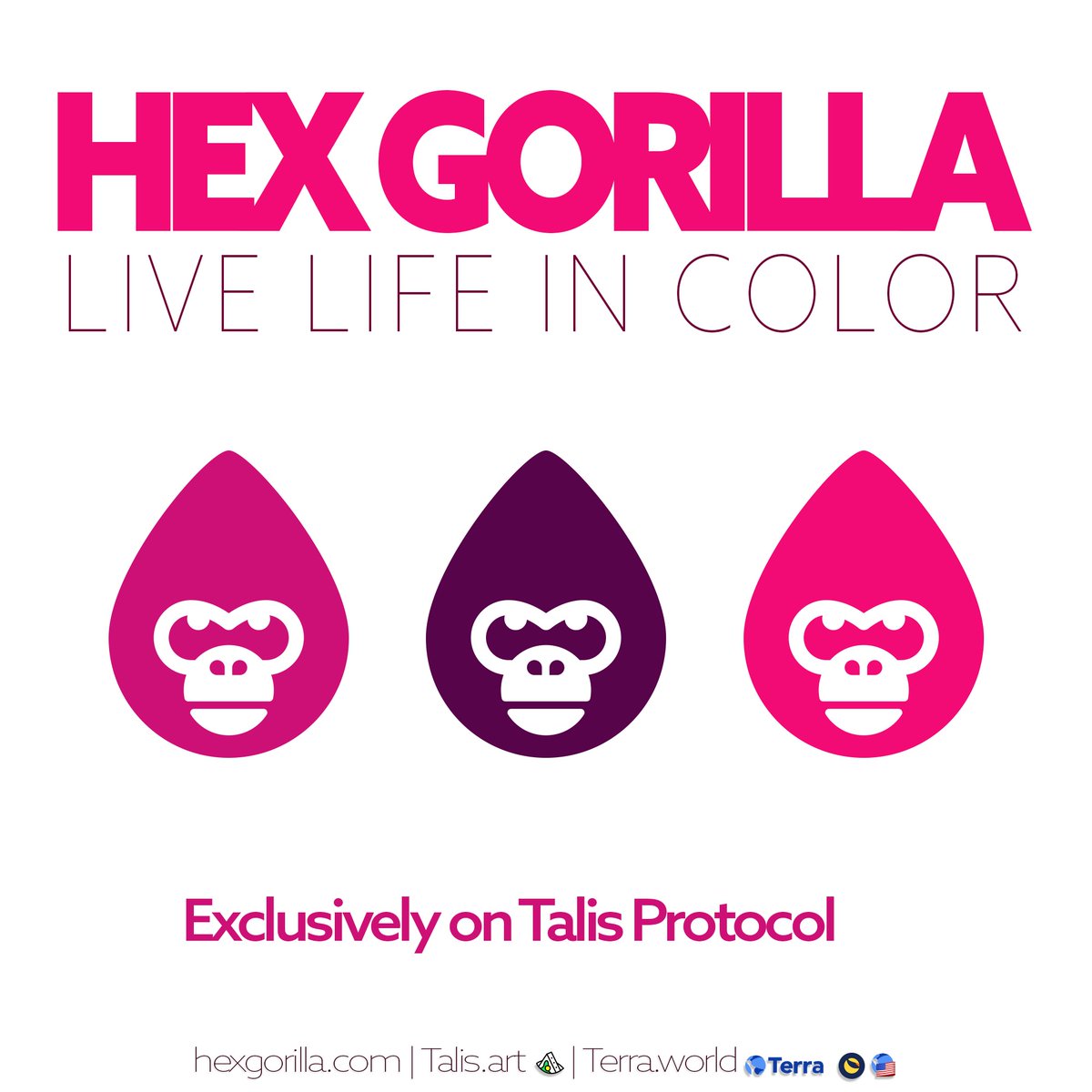 NFTmakerlit's tweet photo. https://t.co/zCMm0wlvYm minting right now #hexgorilla #NFTCommunity https://t.co/VMdzlG5v2y