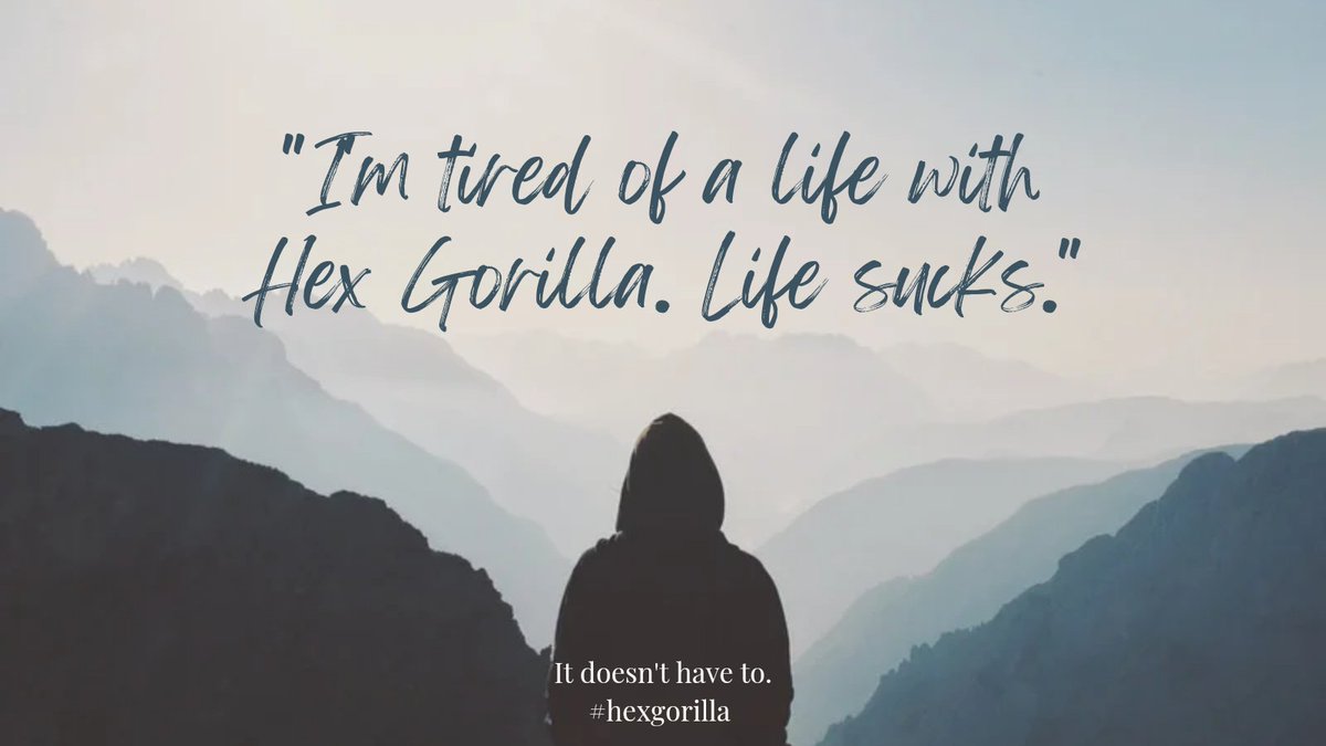 hexgorillafan's tweet photo. Should probably go mint a #hexgorilla #NFTCommunity https://t.co/VQyaBU86sP