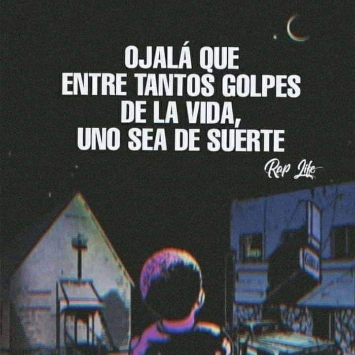 el papácito tweet media