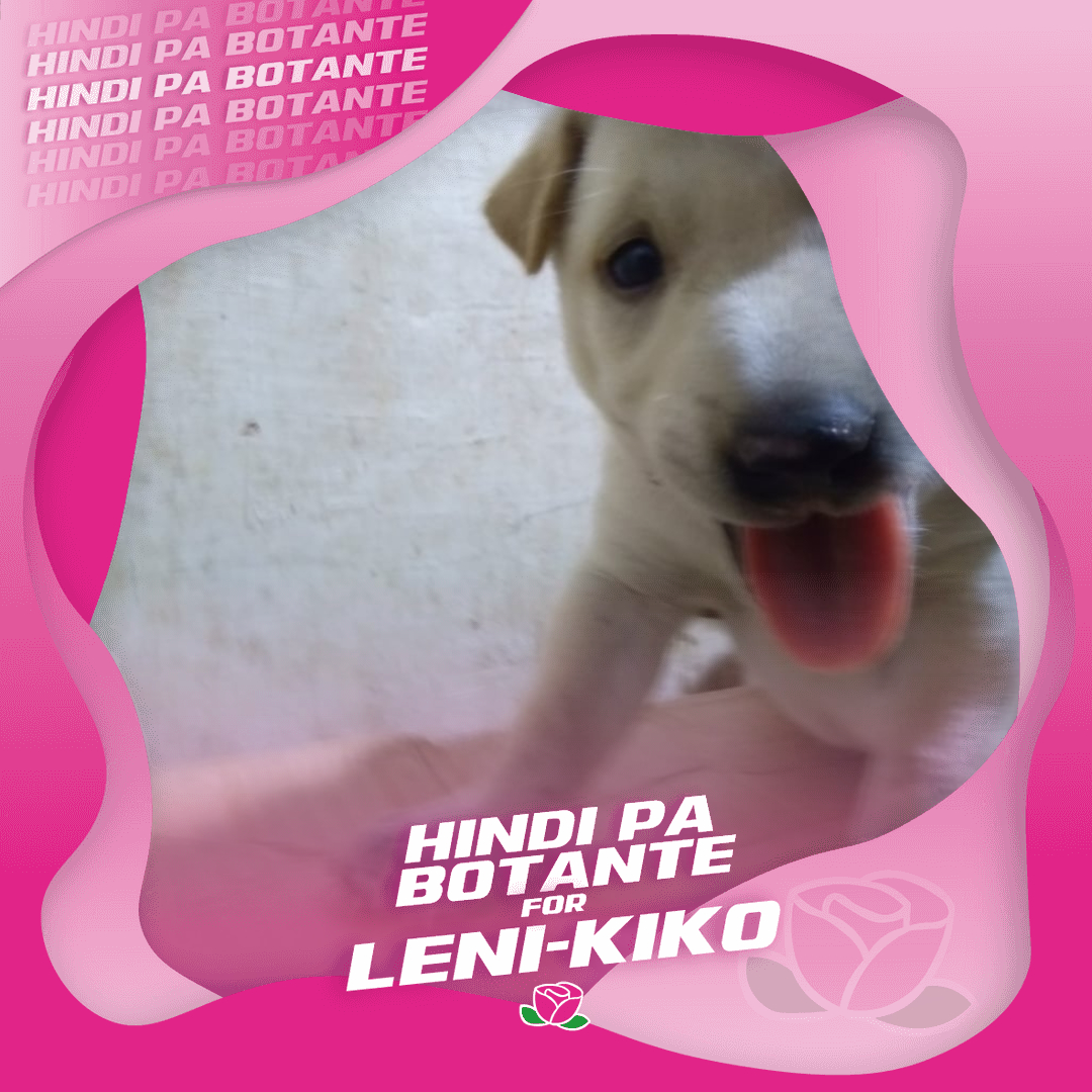 greislee's tweet image. my #robredogs