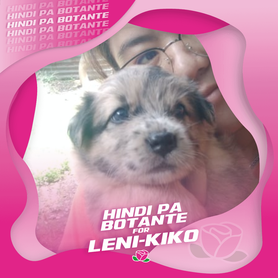 greislee's tweet image. my #robredogs