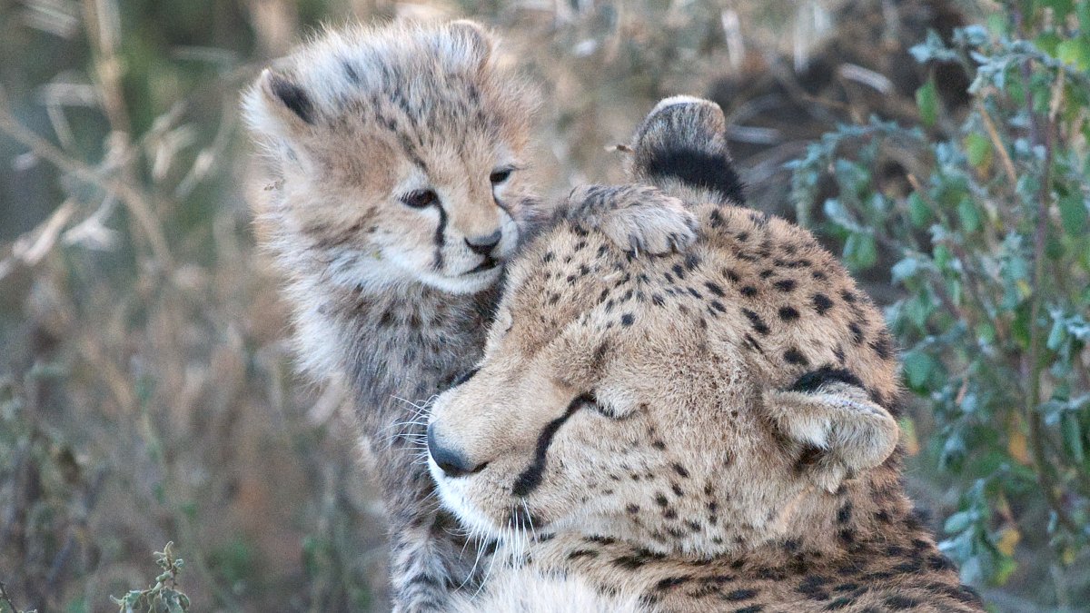 Thank you for having us! <a href="/onlyorganic/">Organic Voices</a> Happy #organicmothersday! 🌺