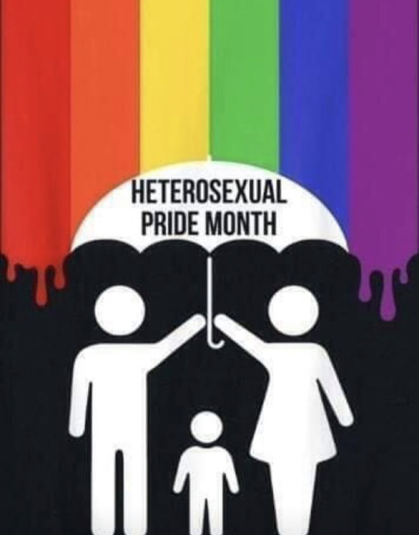 southerngrl1980's tweet photo. We need a heterosexual pride month https://t.co/oFdQn2LnE6