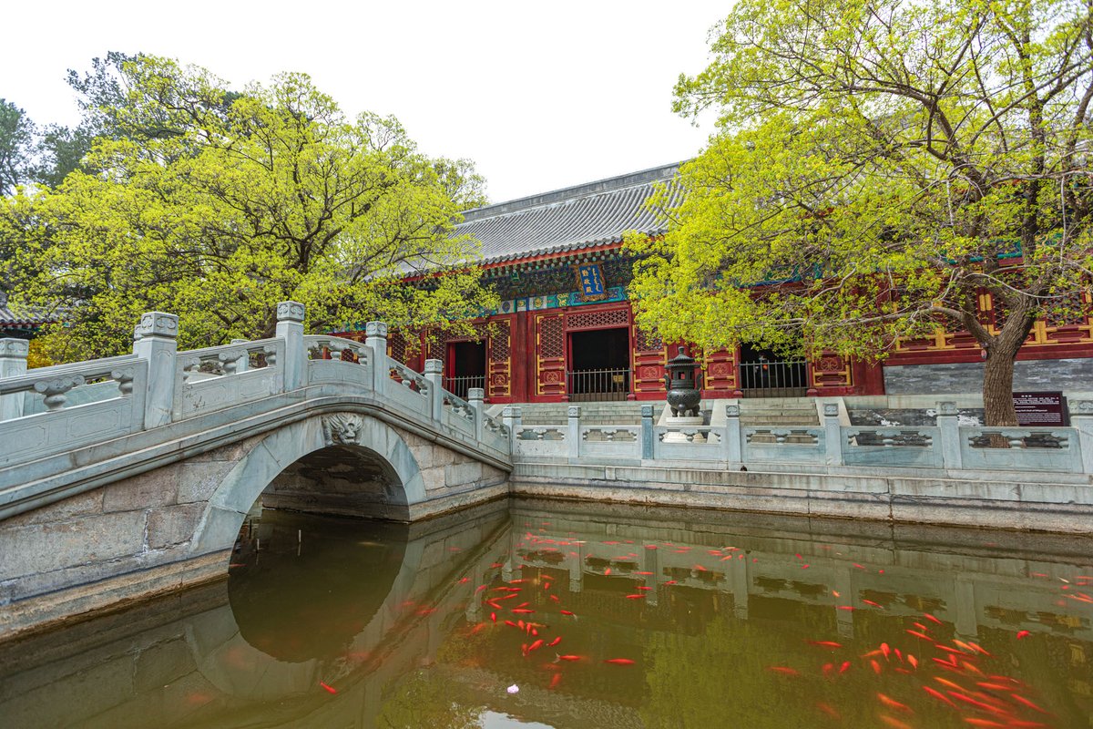 VisitBeijingcn's tweet photo. The wooded hillsides of Fragrant Hills Park in Western Beijing are not only home to some of the city’s most beautiful scenery but also several fascinating historical sites. 

📍 Fragrant Hills Park 
📷 Uni You

#FragrantHills #beijinggardens #historicpreservation https://t.co/HYHDxybsYM