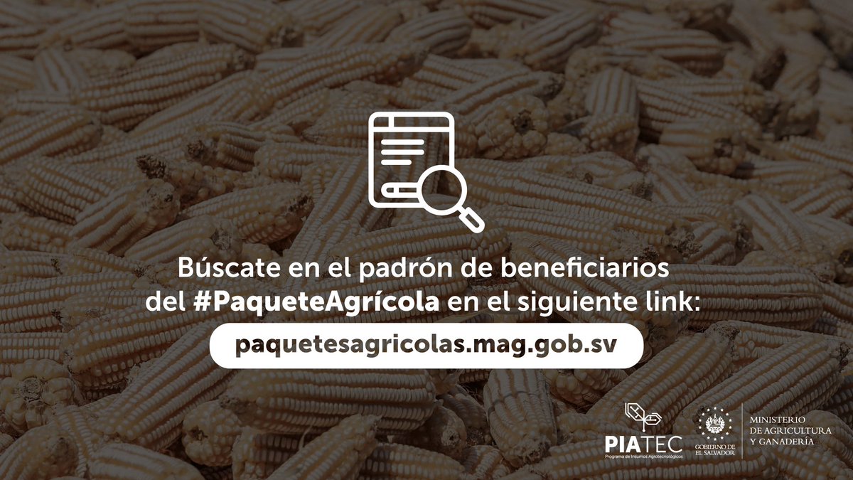 ¡Llegó el momento de buscarte en el padrón! 

Avanzamos en la entrega de los #PaquetesAgrícolas, en los próximos días daremos detalles de lo que viene para nuestros productores de granos básicos.