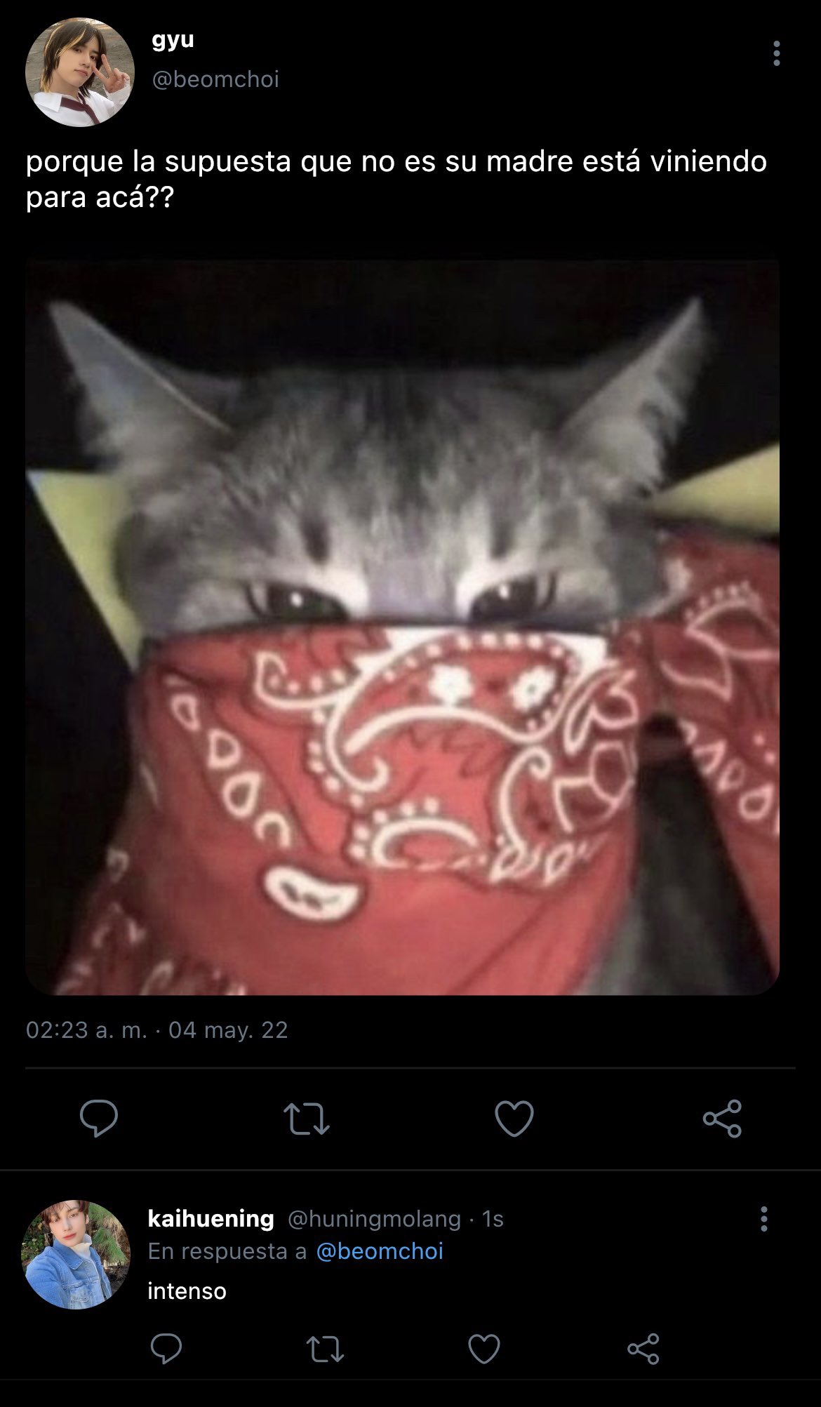 фото котиков в маске