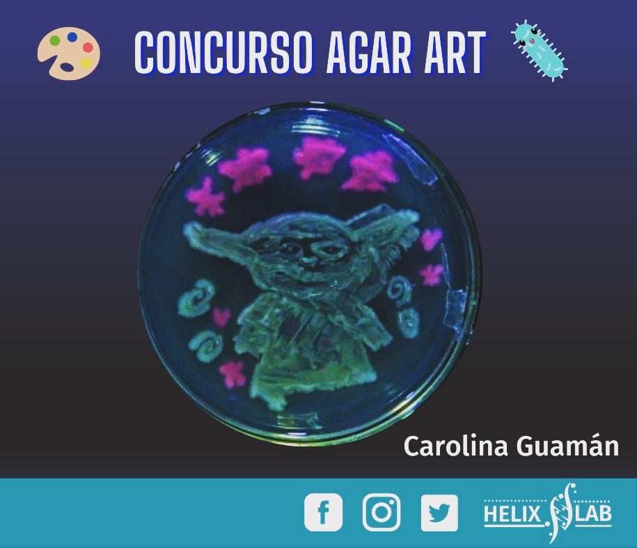 HelixEc's tweet photo. Te invitamos a votar por tu favorito en nuestro Concurso de Agar Art 🥳

Para hacerlo ingresa a nuestras redes sociales (Facebook e Instagram) @helixlabec y dale Like al arte que más te guste! 🧑‍🔬😍

Las votaciones se cierran mañana a media noche! https://t.co/IPW2oouTQh