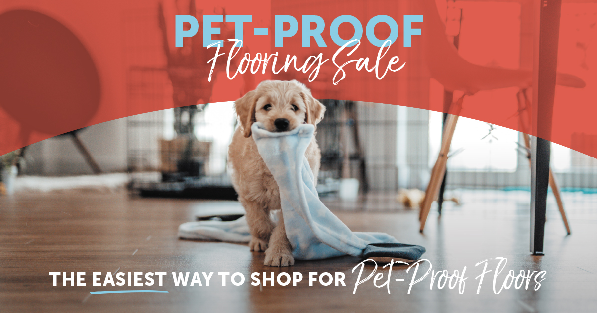 goldriverfa's tweet photo. Sometimes we love our pets so much, we’ll let them get away with anything. Especially when it comes to the damage they do to floors. Find the perfect floor to pair with your pet during our Pet-Proof Flooring Sale!

#folsomca #eldoradohillsca #granitebayca #rosevilleca #rocklinca https://t.co/so2OTmtmvT